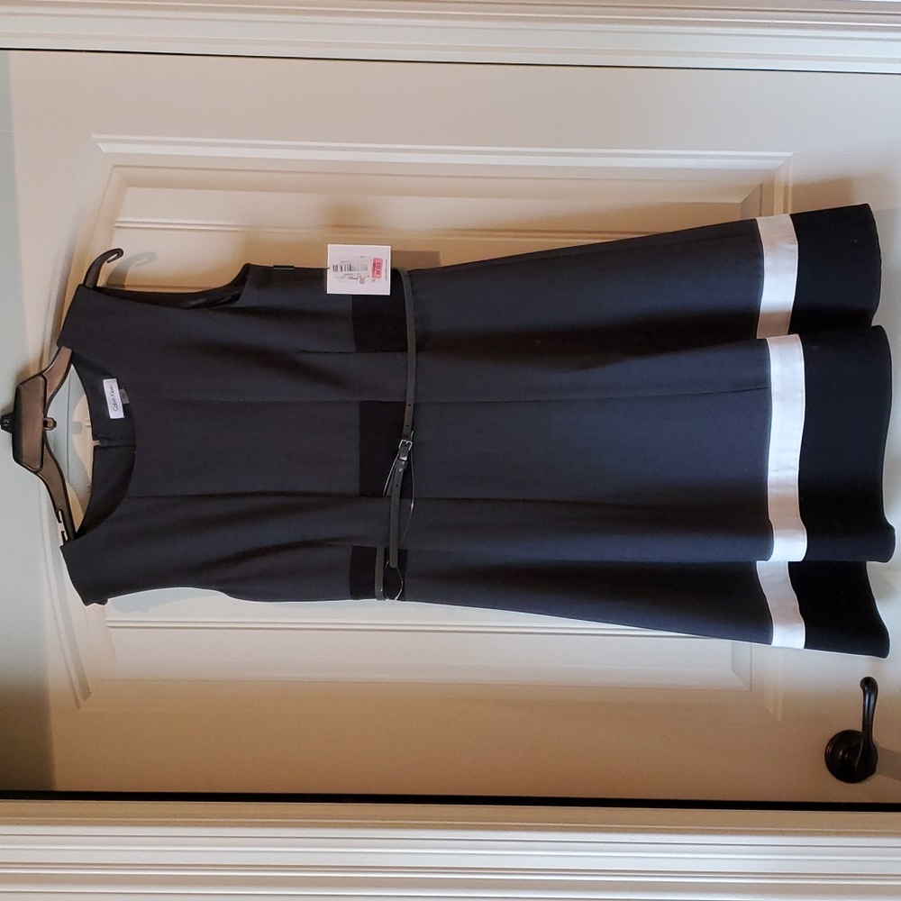 Calvin Klein Fit and Flare Dress